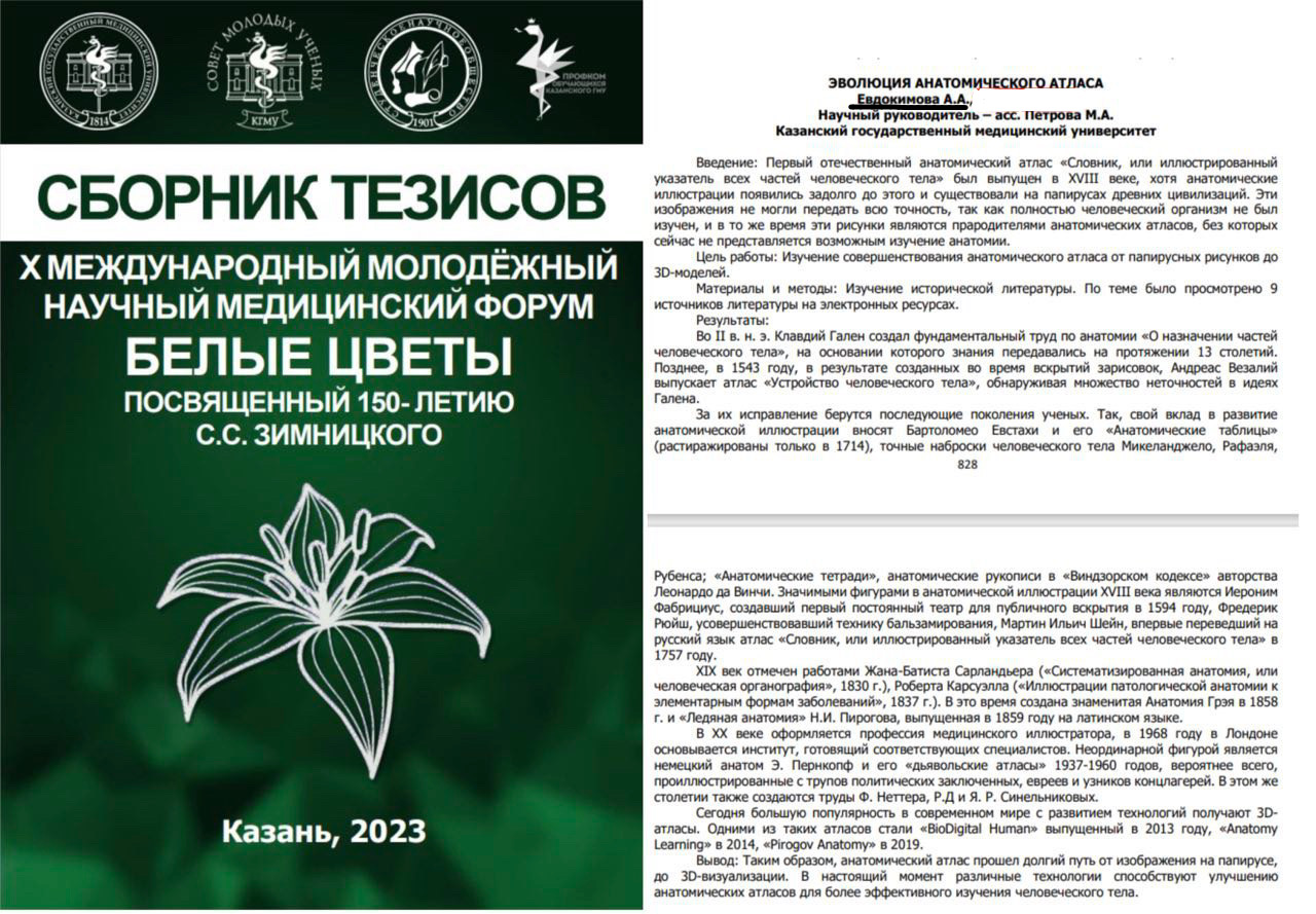Тезис Белые Цветы