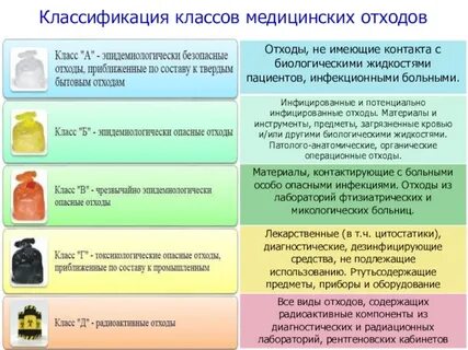 экология 161