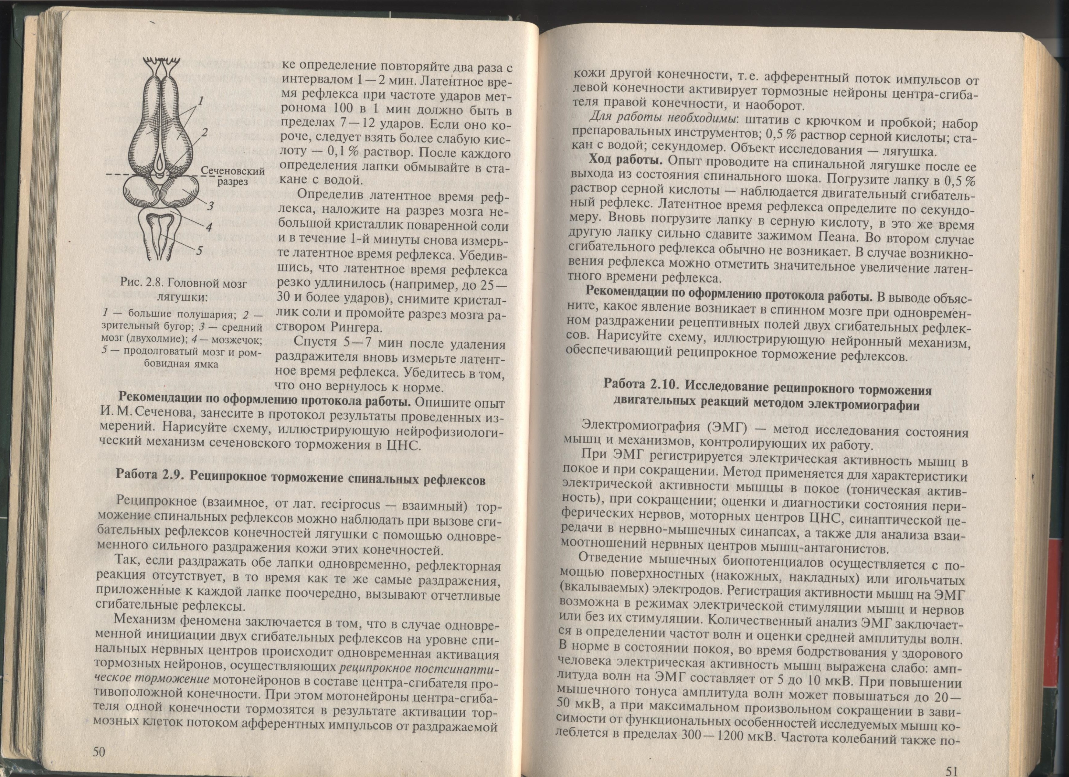 Сеченовское торможение в ЦНС (2)