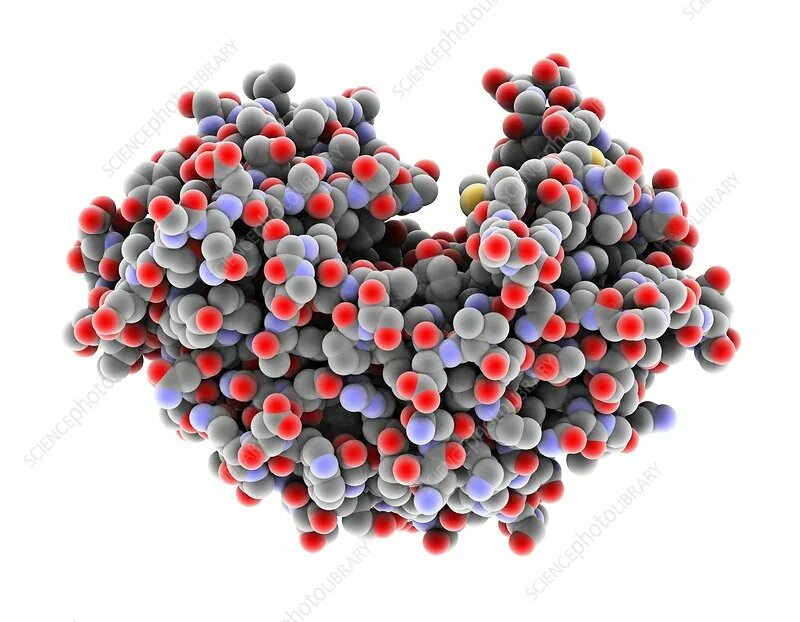 пепсиноген